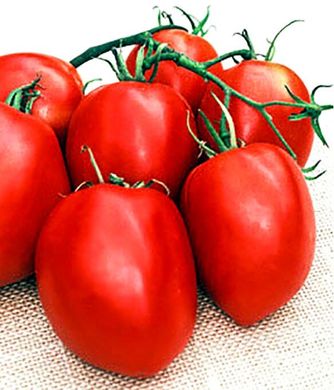 Які F1 - насіння томата, 25 000 шт, Seminis 20305 фото
