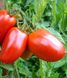 Яки F1 - семена томата, 25 000 шт, Seminis 20305 фото 1