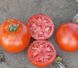 1502 F1 - насіння томата, 500 шт, Lark Seeds 03328 фото 1