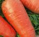 Кордоба F1 - насіння моркви, 1 000 000 шт (1.6-1.8), Bejo 61851 фото 3