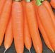 Сіркана F1 - насіння моркви, 100 000 шт (1.6 - 1.8), Nunhems 20294 фото 2