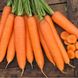 Сіркана F1 - насіння моркви, 100 000 шт (1.6 - 1.8), Nunhems 20294 фото 1