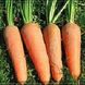 Кордоба F1 - насіння моркви, 1 000 000 шт (1.6-1.8), Bejo 61851 фото 4