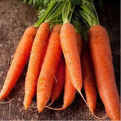 Морковь Каротан, 250 г, Rijk Zwaan 58781 фото
