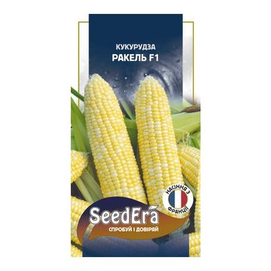 Ракель F1 - насіння кукурудзи, 20 шт, Clause (SeedEra) 27324 фото