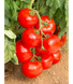 Лінда F1 - насіння томата, 1000 шт, Sakata 95188 фото 1
