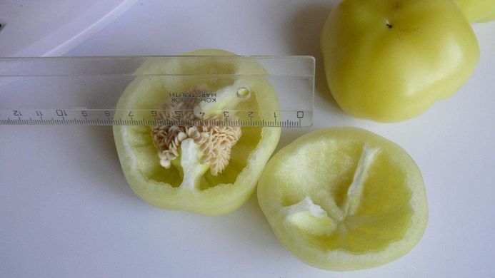 Мела Роса F1 - насіння солодкого перцю, 500 шт, Spark Seeds 57723 фото