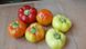 Мела Роса F1 - семена сладкого перца, 500 шт, Spark Seeds 57723 фото 1