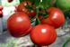 Айвенго F1 - насіння томата, 100 шт, Rijk Zwaan 01003 фото 2
