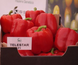 Телестар F1 - семена сладкого перца, Hazera купить в Украине с доставкой