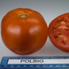 Полбіг F1 - насіння томата, 1000 шт, Bejo 90904 фото 6