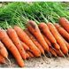 Морковь Каротан, 1 000 000 семян (1.6-1.8), Rijk Zwaan 74563 фото 3