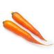 Морковь Каротан, 250 г, Rijk Zwaan 58781 фото 2