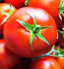 Гравітет F1 - насіння томата, 500 шт, Syngenta 42211 фото
