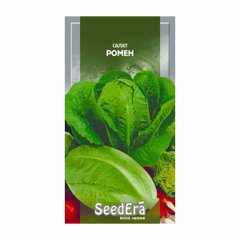 Ромен - семена салата, SeedEra описание, фото, отзывы
