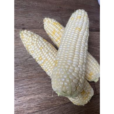 Айрон F1 - семена кукурузы белой, 25 000 шт, Spark Seeds 25049 фото