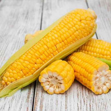 Мореленд F1 - семена кукурузы, 20 шт, Syngenta (SeedEra) 01879 фото