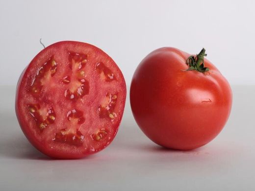 Аксіома F1 - насіння томата, 500 шт, Nunhems 99371 фото