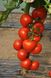 Черокі F1 - насіння томата, 500 шт, Esasem 95189 фото 3