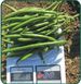 Пайк - насіння квасолі спаржевої, 100 000 шт, Clause 16681 фото 1