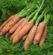 Курасао F1 - семена моркови, 1 000 000 шт (2.0-2.2), Bejo 61853 фото 1