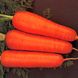 Курода Шантане - семена моркови, 500 г, Sakata 50309 фото 4