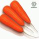 Курода Шантане - семена моркови, 500 г, Sakata 50309 фото 1