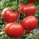 Аксіома F1 - насіння томата, 500 шт, Nunhems 99371 фото 1