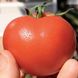 Айвенго F1 - насіння томата, 1000 шт, Rijk Zwaan 07283 фото 1
