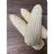 Айрон F1 - насіння кукурудзи білої, 2500 шт, Spark Seeds 25048 фото 2