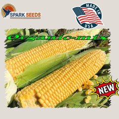 1801 F1 - насіння кукурудзи, 2500 шт, Spark Seeds 66243 фото