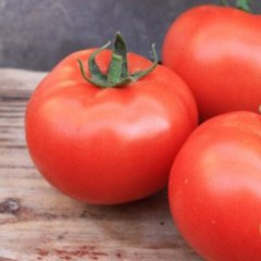 Силует F1 - насіння томата, 500 шт, Syngenta 42-212 фото