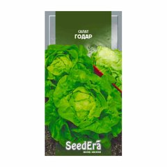 Годар - насіння салату, SeedEra опис, фото, відгуки