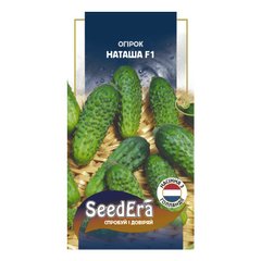 Наташа F1 - насіння огірка, 20 шт, Seminis (SeedEra) 22477 фото