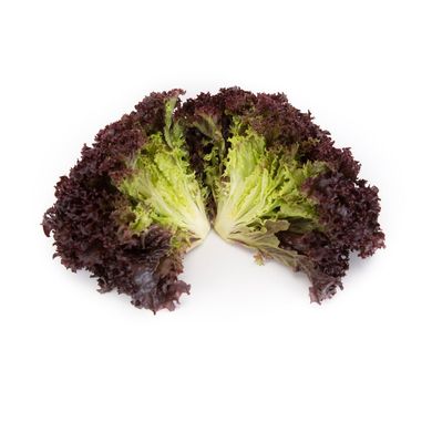 Атмос - насіння салату, 5000 шт (драже), Rijk Zwaan 29192 фото