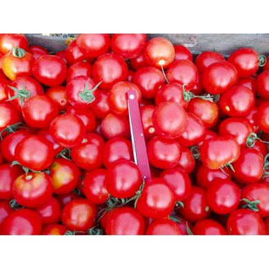 Шаста F1 - насіння томата, 100 шт, Lark Seeds (Пан Фермер) 04323 фото