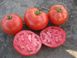 1504 F1 - насіння томата, 5000 шт, Spark Seeds 03331 фото 2