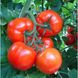 Силует F1 - насіння томата, 500 шт, Syngenta 42-212 фото 2