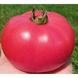 Розалба F1 - насіння томата, 250 шт, Esasem 95190 фото 1