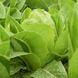 Айвона - насіння салату, 1000 шт (драже), Rijk Zwaan 72148 фото 3