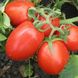 Ред Скай F1 - насіння томата, 1000 шт, Nunhems 99373 фото 2