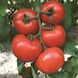 Діаграмма F1 - насіння томата, 500 шт, Nunhems 99372 фото 1