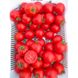 Шаста F1 - насіння томата, 10 шт, Lark Seeds (Пан Фермер) 04321 фото 9