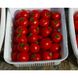 Шаста F1 - насіння томата, 10 шт, Lark Seeds (Пан Фермер) 04321 фото 3