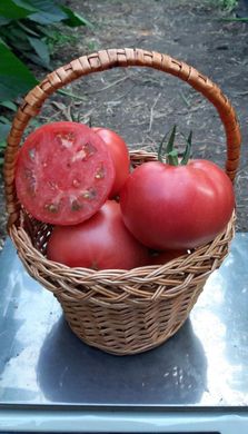 Сім-Сім (EZ 777) F1 - насіння томата, 250 шт, Libra Seeds 74942 фото