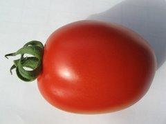 Адванс F1 - насіння томата, 25 000 шт, Nunhems 99374 фото