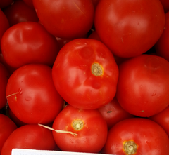 Квалітет F1 - насіння томата, 500 шт, Syngenta 42-213 фото