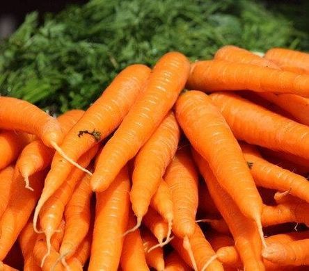 Бріліанс F1 - насіння моркви, 100 000 шт (1.8 - 2.0), Nunhems 17705 фото