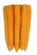 Морковь Джерада F1, 25 000 семян (1.8-2.0), Rijk Zwaan 76236 фото 1