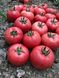 Сім-Сім (EZ 777) F1 - насіння томата, 250 шт, Libra Seeds 74942 фото 5